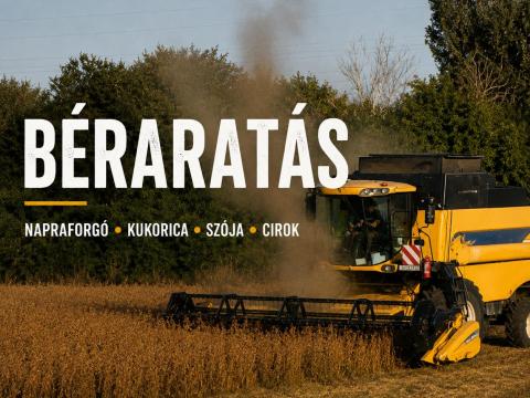 Aratás