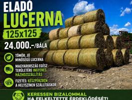 Lucerna