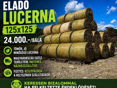 Lucerna
