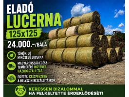 Lucerna