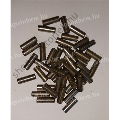 Tűgörgő készlet 5110876 OE (1 szett = 1 bolygókerékhez)