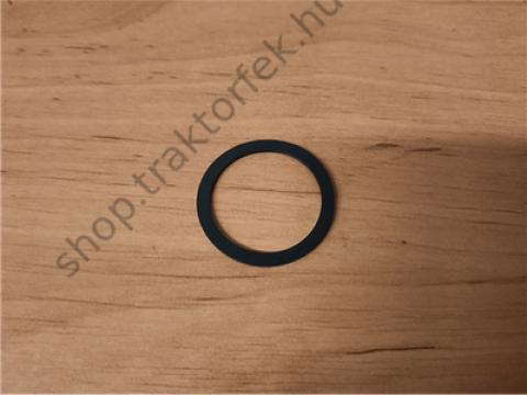 Tömítés DANA 738.07.010.01