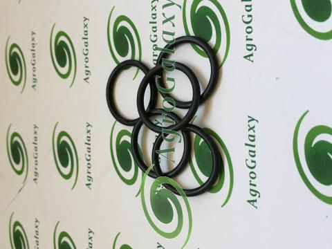 167269/CA/AKC CASE O-GYŰRŰ 167269/CA/AKC CASE O-GYŰRŰ