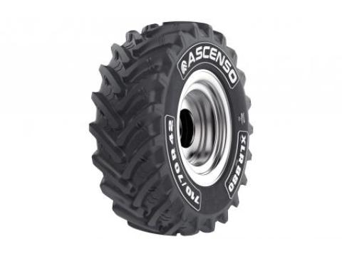 600/70R30 Ascenso XLR880 152D TL 600/70R30 Ascenso XLR880 152D TL