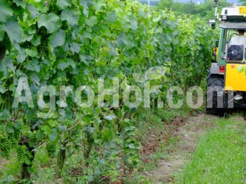 Tecnovict Előre szerelhető 55 cm-es levéltépő (megfordítható munkafejjel) Tecnovict Előre szerelhető 55 cm-es levéltépő (megfordítható munkafejjel)