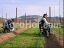 Rocky-Agri Akkumulátoros szőlészeti  metszőkocsi (kéz nélküli irányítás rendszerrel)