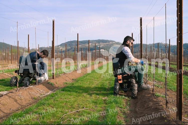 Rocky-Agri Akkumulátoros szőlészeti  metszőkocsi (kéz nélküli irányítás rendszerrel)