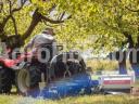 AARDENBURG Törzstisztófej bal oldali