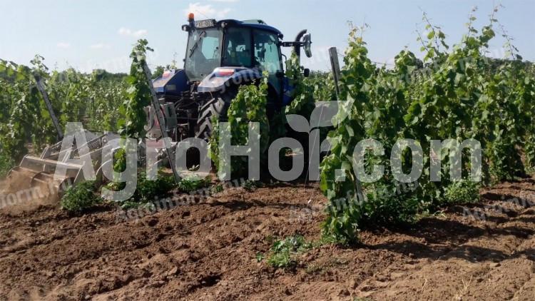 AARDENBURG 2,5 m-es szőlészeti kultivátor