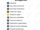 Vezetőülés Grammer Maximo Professional New Design fej és kartámaszos légrugós