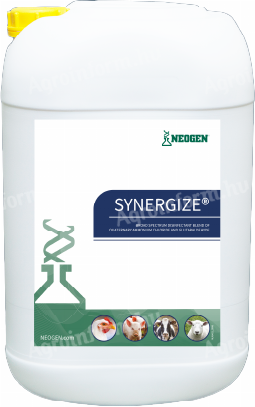 Synergize (25 kg) istálló felületfertőtlenítő szer kannában