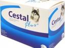 Cestal Plus rágótabletta 200x