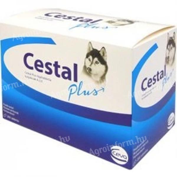 Cestal Plus rágótabletta 200x
