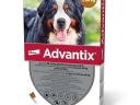 Advantix spot on 40-60 kg közötti kutyáknak AUV 1 x 6 ml