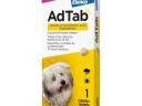 AdTab rágótabletta kis testű kutyáknak (>2,5-5,5 kg) 112mg