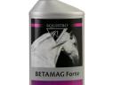 Equistro Betamag forte 1 L