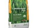 ICL fűmag Sun & Shade 5 kg (árnyéktűrő)