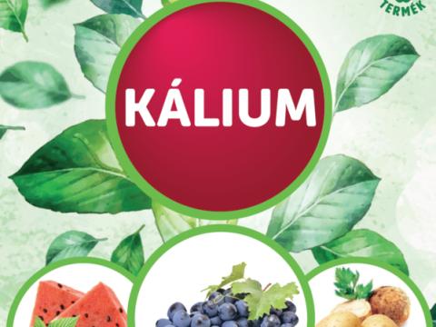 DAMISOL KÁLIUM 1 L DAMISOL KÁLIUM 1 L