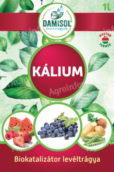 DAMISOL KÁLIUM 1 L