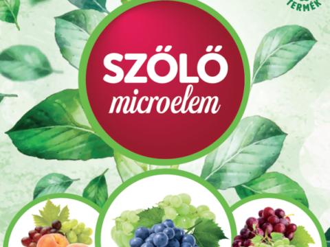 DAMISOL SZŐLŐ-GYÜMÖLCS SPECIÁL 5 L