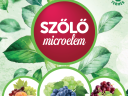 DAMISOL SZŐLŐ-GYÜMÖLCS SPECIÁL 1 L