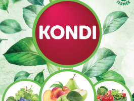 DAMISOL KONDI 1 L