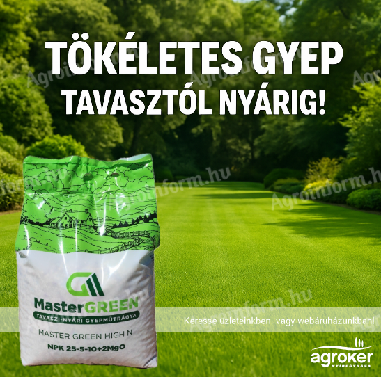 MASTERGREEN HIGH N 25/5/10+2MGO+S 5 KG TAVASZI GYEPTRÁGYA