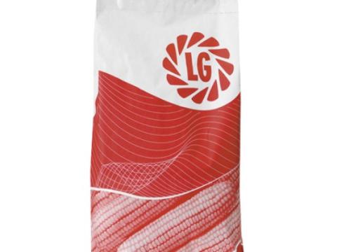 LG CARUSO HIBRID KUKORICA VETŐMAG 50.E.