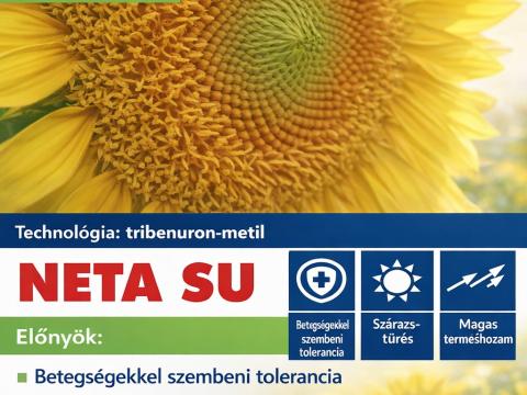 SU NETA TMR LO HIBRID NAPRAFORGÓ VETŐMAG 150 E.