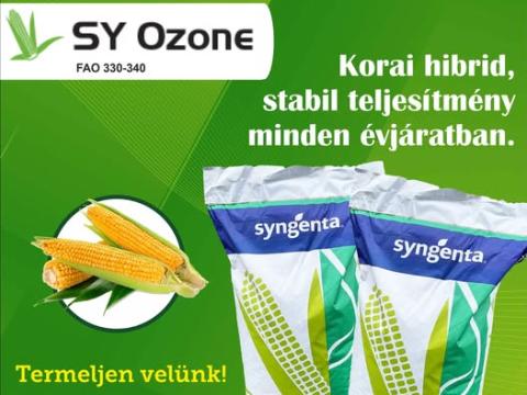 SY OZONE HIBRID KUKORICA VETŐMAG 50.E.