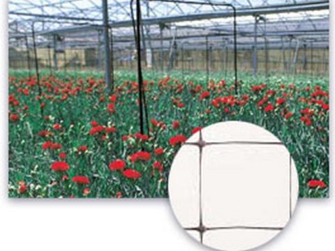 SZEGFŰHÁLÓ  1,2X500M SZ-120/12 100X100 2002892