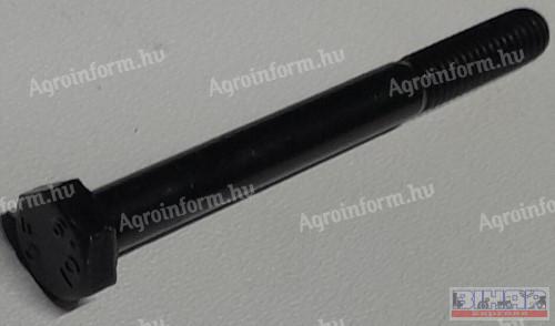Csavar 24x110 HTLF, RM , 10,9