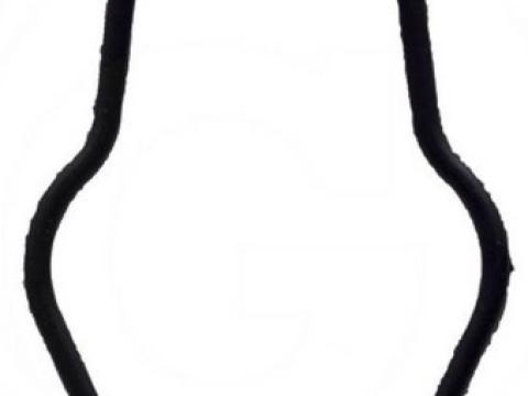 Tápszivattyú O-gyűrű Tápszivattyú O-gyűrű