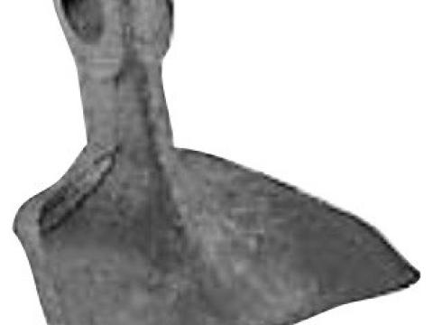 Szárzúzó kalapács 62x10xDN-14,5