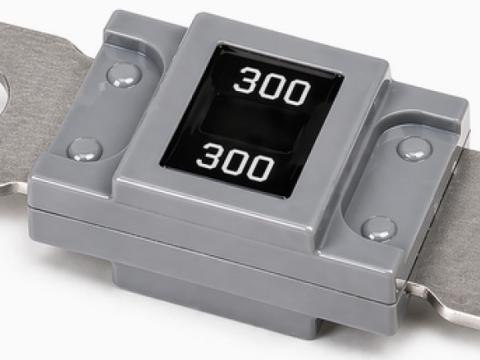 Biztosíték MEGAVAL lemezes 300A 