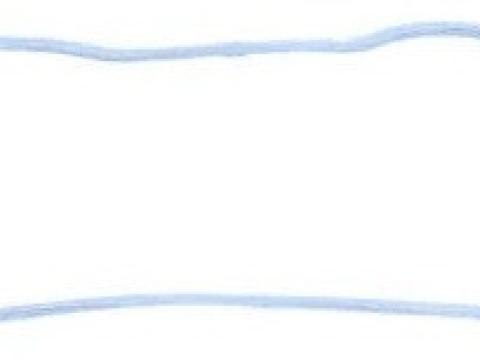 VALTRA szelepfedél tömítés (V836667243)