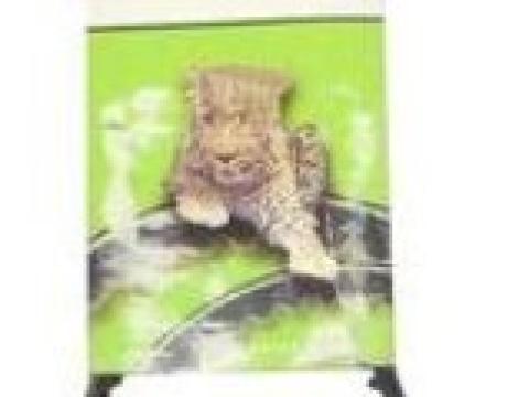 Ékszíj 12,5x1575 LA AVX Gufero Ékszíj 12,5x1575 LA AVX Gufero