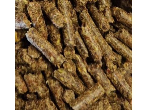 PelletM Microbiom Restore bélflóraregeneráló lótáp 24kg PelletM Microbiom Restore bélflóraregeneráló lótáp 24kg
