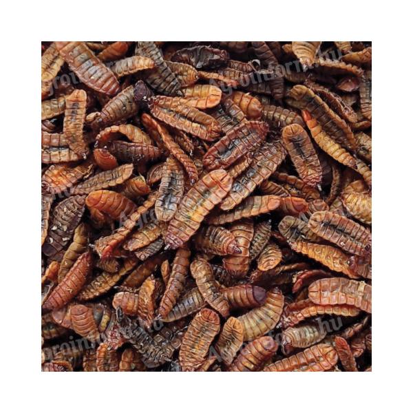 Szárított fekete katonalégy lárva 1kg