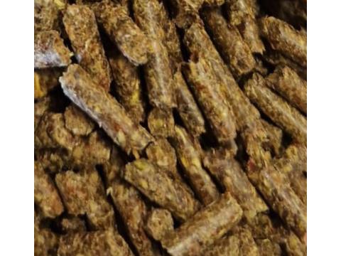 PelletM Microbiom Restore bélflóraregeneráló lótáp 20kg