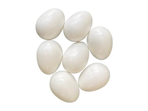 Műtojás, galambok részére