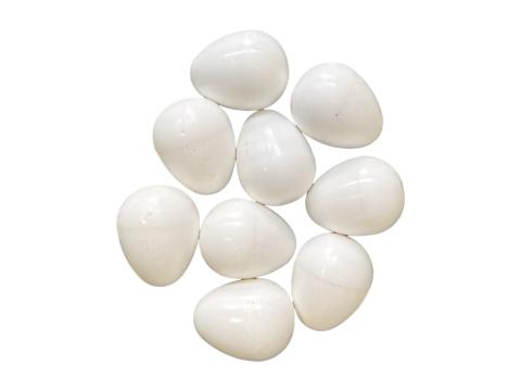 Műtojás, papagájok részére