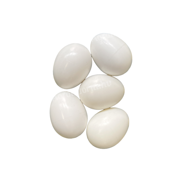 Műtojás, fácánok részére