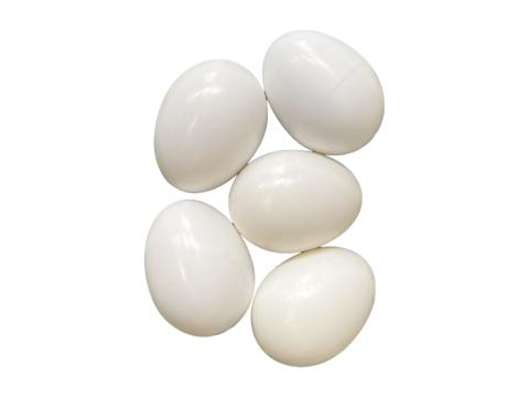 Műtojás, fácánok részére Műtojás, fácánok részére