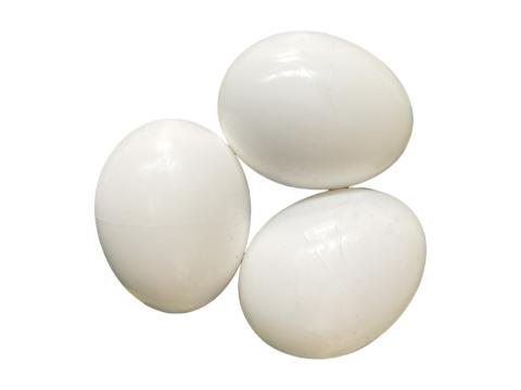 Műtojás, kacsák részére