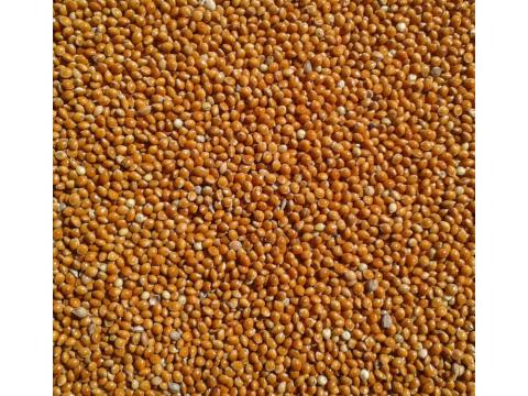 Vörös köles (kimérve/kg) Vörös köles (kimérve/kg)