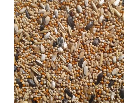 Nimfa papagáj magkeverék (kimérve/kg) Nimfa papagáj magkeverék (kimérve/kg)