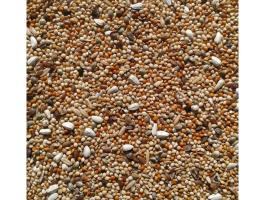 Neophéma papagáj magkeverék (kimérve/kg)