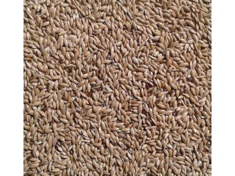 Fénymag (kimérve/kg) Fénymag (kimérve/kg)