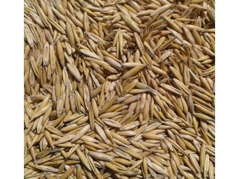 Zab (kimérve/kg) Zab (kimérve/kg)